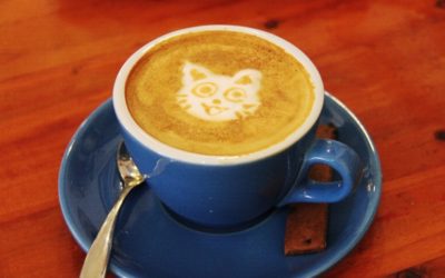 Super Anti-inflammatory Golden Milk