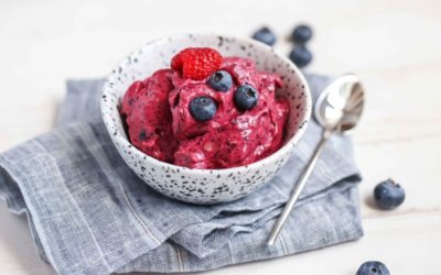 Blueberry Frozen Yogurt
