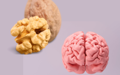 The Health Benefits of Walnuts